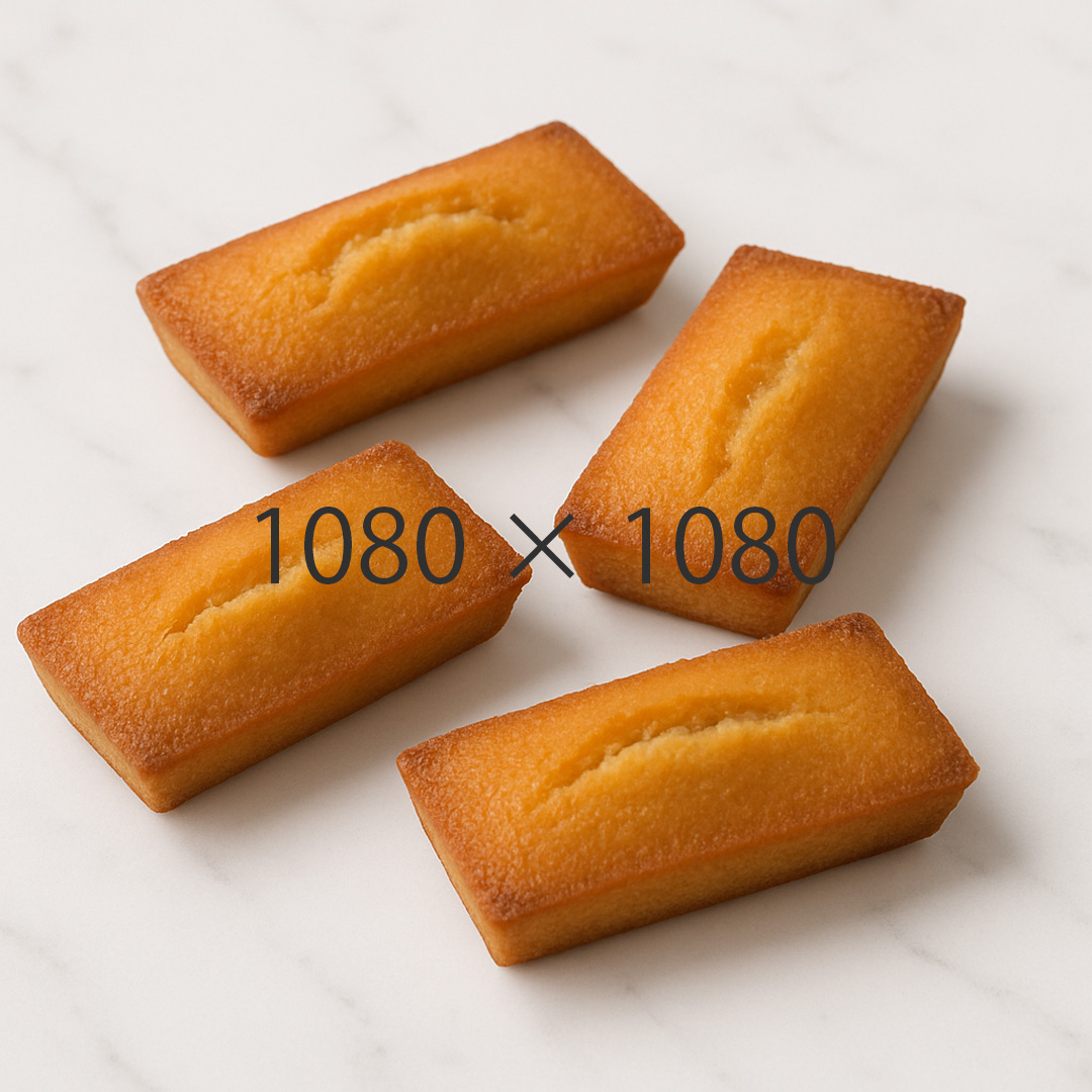 通常商品サンプル 02